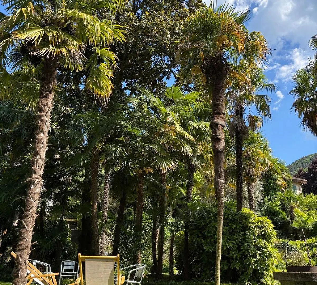 Boutique Apartment With Garden Μπελάτζιο Ιταλία